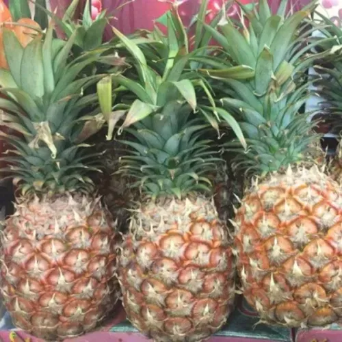 班班吃鳳梨？農糧署做出回應